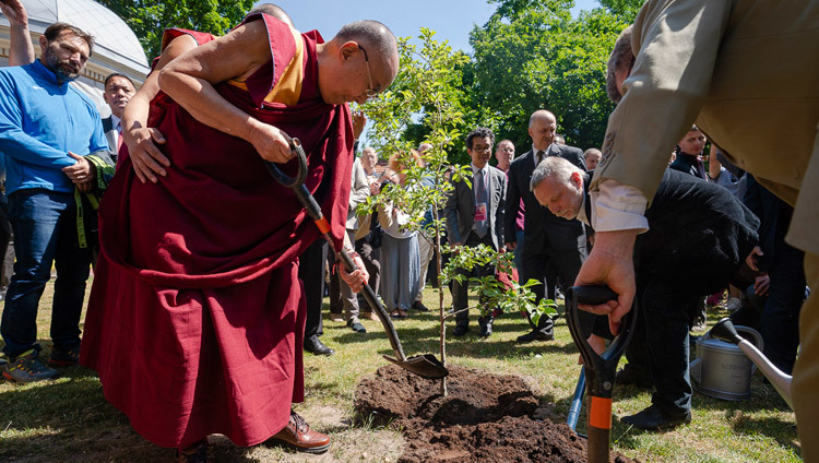 Sa Sainteté le Dalaï-Lama plantant un jeune arbre pour symboliser l'amitié entre la Lituanie et le Tibet sur la place du Tibet à Vilnius, Lituanie, le 13 juin 2018. Photo de Tenzin Choejor