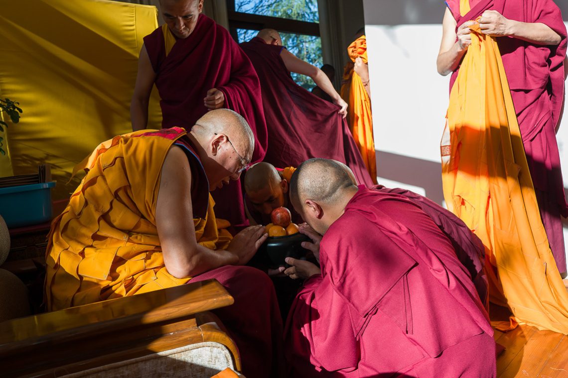 2026 03 03 Dharamsala G04 L1160444