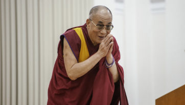 Nous sommes des animaux sociaux